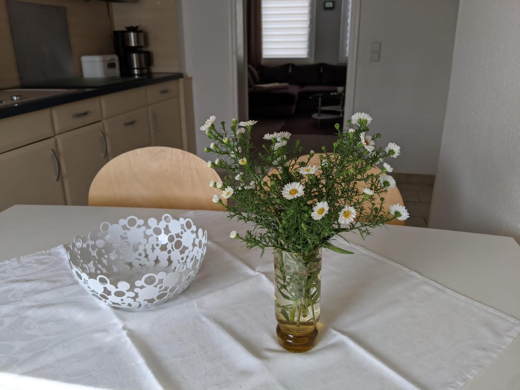 Ferienwohnung Am Ueckerpark Ueckermunde Ngoại thất bức ảnh